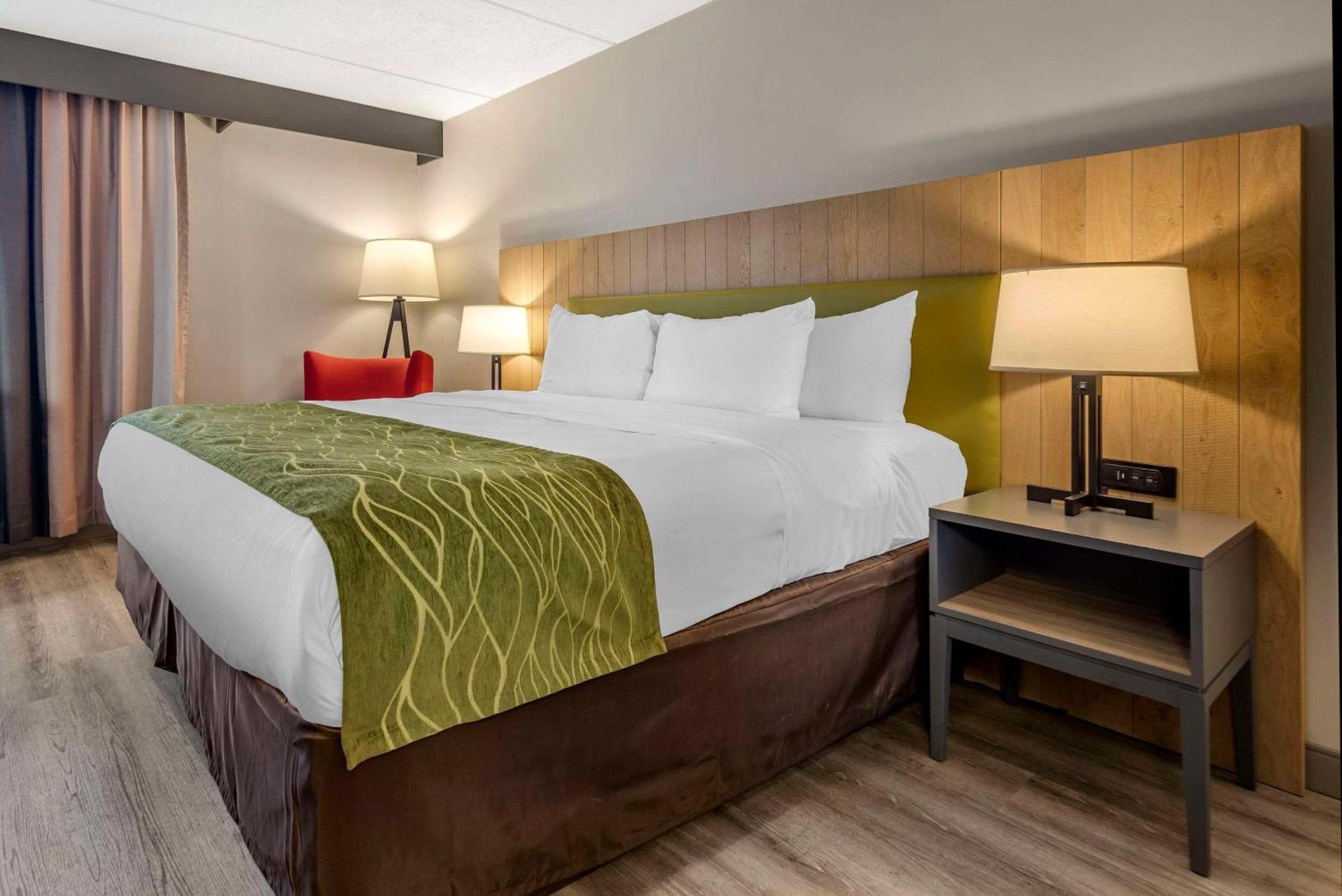 Comfort Inn & Suites Liverpool - Syracuse North Exteriér fotografie